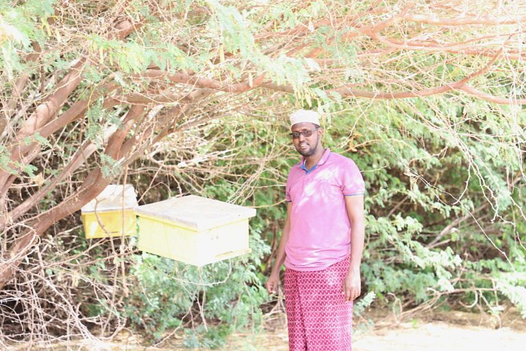 Northern Kenya Youth Group’s Fruitful Journey From Drought To Beekeeping