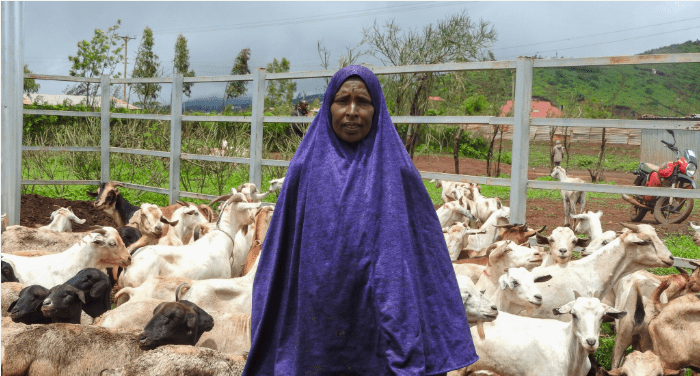 How Cash Transfers are Putting Traders Back in Business in Kenya